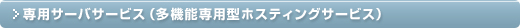 専用サーバサービス（多機能専用型ホスティングサービス）