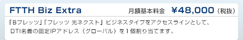 フリービット　FTTH Biz Extra　DTI月額基本料金　¥48,000（税抜）