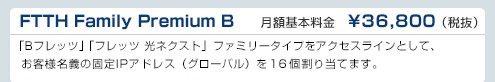 FTTH Family Premium B　DTI月額基本料金　￥36,800（税抜）