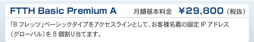 FTTH Basic Premium A　DTI月額基本料金　¥29,800（税抜）