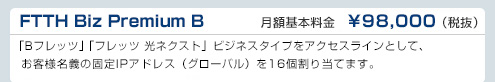 FTTH Biz Premium B　DTI月額基本料金　¥98,000（税抜）