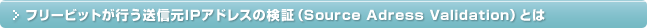 フリービットが行う送信元IPアドレスの検証（Source Address Validation）とは
